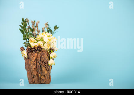 Blumen in dekorative Vase. Leucojum vernum ist der erste Märzenbecher, Studio gedreht. Stockfoto