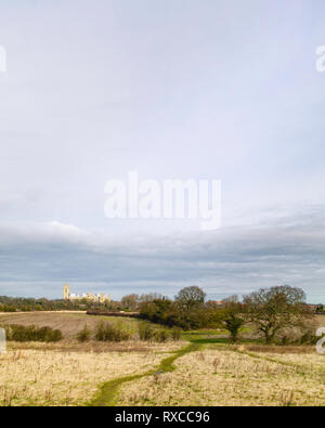 Blick über die landwirtschaftliche Landschaft und Parklandschaft mit Bäumen und alten Münster am Horizont im Frühjahr in Beverley, Yorkshire, Stockfoto