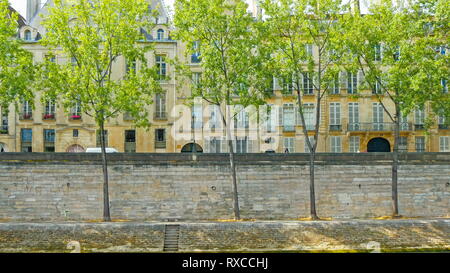 Bäume am Ufer des Flusses in Paris und riesige Gebäude auf der Rückseite Stockfoto