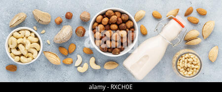 Mutter Milch und Zutaten - verschiedene Nüsse. Ohne Milchprodukte, keine Laktose Milch alternativen Konzept. Banner. Stockfoto