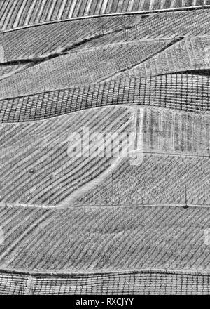 Länder der Weinberge und Hügel der Toskana, Italien Landschaft Stockfoto