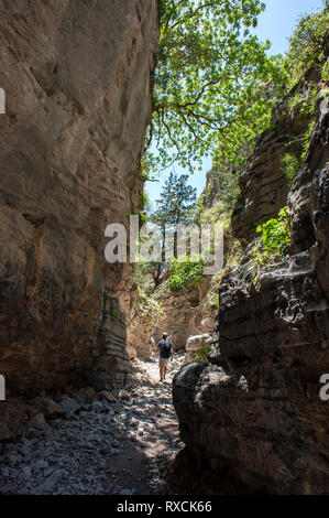 Ein Wanderer in der Imbros Schlucht in der Nähe von Chora Sfakion an der Südküste der Griechischen Insel Kreta. Stockfoto