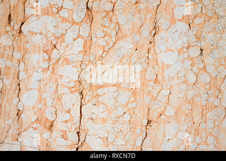 Detaillierte alten Risse Marmor wand Textur Stockfoto