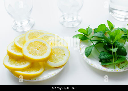 Zitronenscheiben, frischer Minze auf einem Teller und zwei Gläser mit Eiswürfeln. Zutaten für selbstgemachte Limonade, perfekt für den Sommer. Stockfoto