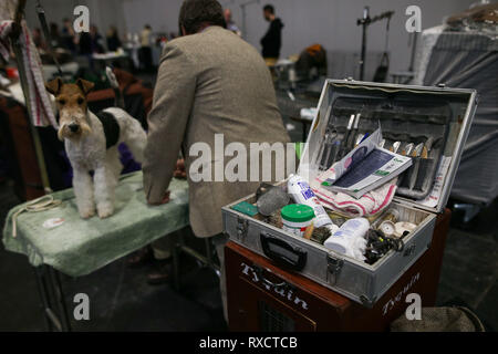 Ein pflegeset und ein West Highland White Terrier am Birmingham National Exhibition Centre (NEC) für den zweiten Tag der Crufts Dog Show. Stockfoto