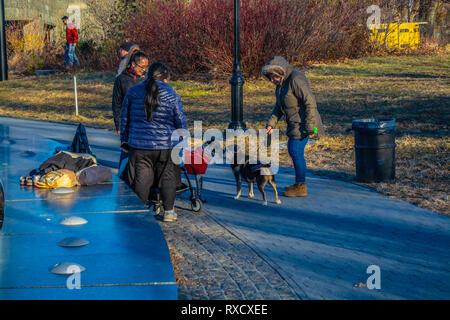 Zwei Hunde sind, einander im Prospect Park in Brooklyn, New York im Frühjahr 2019 Wissen Stockfoto