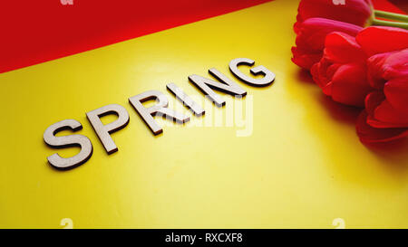 Feder Konzept. Blumenstrauß aus Tulpen auf farbigen Hintergrund. Muttertag oder 8. März festliche Thema. Close-up mit Text Frühling. Frühling Verkauf banner Stockfoto