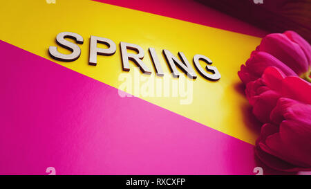 Feder Konzept. Blumenstrauß aus Tulpen auf farbigen Hintergrund. Muttertag oder 8. März festliche Thema. Close-up mit Text Frühling. Frühling Verkauf banner Stockfoto