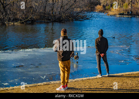 Zwei Männer stehen und suchen am Teich über etwas Brooklyn, NY Prospect Park denken. Stockfoto