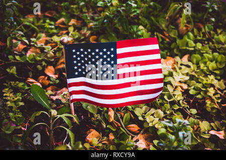 Nahaufnahme eines kleinen amerikanischen Flagge unter Vegetation oder Grün. USA und Natur Konzept. Stockfoto