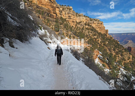 Frau wandern auf einem schneebedeckten Bright Angel Trail im Grand Canyon National Park, Arizona, im Winter. Stockfoto