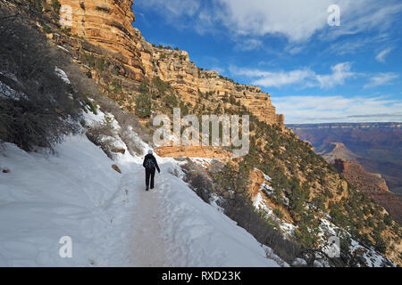 Frau wandern auf einem schneebedeckten Bright Angel Trail im Grand Canyon National Park, Arizona, im Winter. Stockfoto