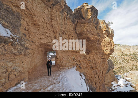 Frau wandern auf einem schneebedeckten Bright Angel Trail im Grand Canyon National Park, Arizona, im Winter. Stockfoto