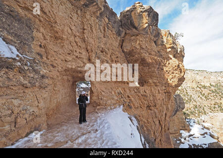 Frau wandern auf einem schneebedeckten Bright Angel Trail im Grand Canyon National Park, Arizona, im Winter. Stockfoto