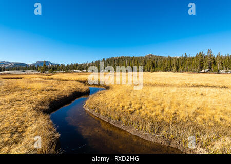 Cathedral Lakes Trail im Yosemite Stockfoto