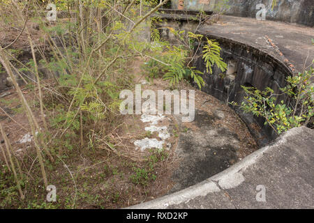 Mount Davis fort, einem verlassenen britischen Militär position jetzt durch den Dschungel auf der Hong Kong Insel überwuchert. Stockfoto