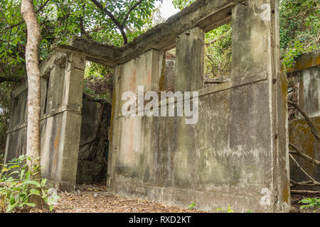 Mount Davis fort, einem verlassenen britischen Militär position jetzt durch den Dschungel auf der Hong Kong Insel überwuchert. Stockfoto