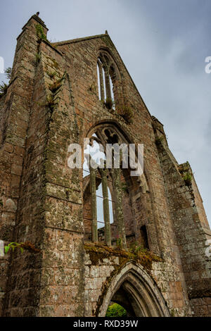 Die Abbaye de Beauport (Naval Abtei), einem verlassenen Kloster in Ruinen in der nördlichen Küste der Bretagne (Bretagne) Stockfoto