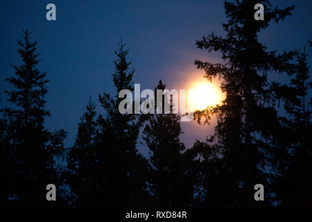 Fort Resolution, South Slave Region, Northwest Territories, Kanada Stockfoto