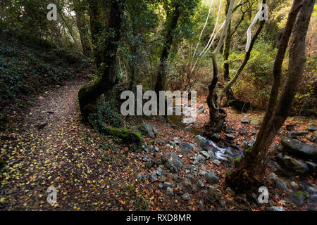 Schönen Wanderweg zum Wasserfall Millomeris während des Trekking. Landschaft im Troodos-Gebirge auf Zypern Insel genommen. Stockfoto