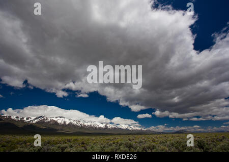 Ruby Mountains, Elko County, Nevada, USA Stockfoto