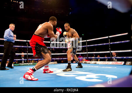 London, Großbritannien 8. März 2019 Boxing kehrt in der Royal Albert Hall kensington Gore, London Anthony Yarde Niederlagen Travis Reeves in der wbo Intercontinental Halbschwergewicht Wettbewerb an der Royal Albert Hall Anthony Yarde v Travis Reeves Credit: Dean Fardell/Alamy leben Nachrichten Stockfoto