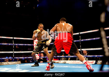 London, Großbritannien 8. März 2019 Boxing kehrt in der Royal Albert Hall kensington Gore, London Anthony Yarde Niederlagen Travis Reeves in der wbo Intercontinental Halbschwergewicht Wettbewerb an der Royal Albert Hall Anthony Yarde v Travis Reeves Credit: Dean Fardell/Alamy leben Nachrichten Stockfoto