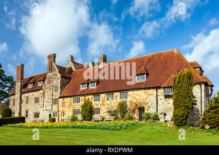 Anzeige von Narzissen, Michelham Priory. Stockfoto