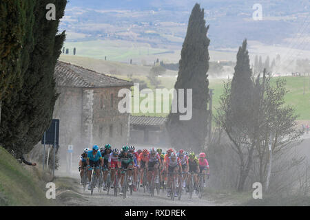 Siena, Italien. 09 Mär, 2019. Foto LaPresse - Fabio Ferrari 09 Marzo 2019 Siena (Italia) Sport Ciclismo Strade Bianche 2019 - Gara uomini - da Siena ein Siena - 184 km (114,3 Miglia) Nella Foto: durante la Gara. Foto LaPresse - Fabio Ferrari, 09. März 2019 Siena (Italien) Sport Radfahren Strade Bianche 2018 - Männer rennen - von Siena Siena - 184 km (114,3 km) In den pic: Während des Rennens. Stockfoto