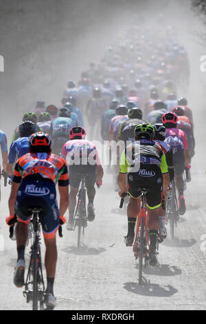 Siena, Italien. 09 Mär, 2019. Foto LaPresse - Fabio Ferrari 09 Marzo 2019 Siena (Italia) Sport Ciclismo Strade Bianche 2019 - Gara uomini - da Siena ein Siena - 184 km (114,3 Miglia) Nella Foto: durante la Gara. Foto LaPresse - Fabio Ferrari, 09. März 2019 Siena (Italien) Sport Radfahren Strade Bianche 2018 - Männer rennen - von Siena Siena - 184 km (114,3 km) In den pic: Während des Rennens. Stockfoto