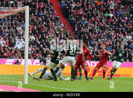 München, Deutschland. 09 Mär, 2019. firo: 09.03.2019, Fußball, 1.Bundesliga, Saison 2018/2019, FC Bayern München - VFL Wolfsburg, Serge Gnabry, Bayern, München, München, Bayern München, vollständige Abbildung, Ziel 1: 0 | Nutzung der weltweiten Kredit: dpa/Alamy leben Nachrichten Stockfoto