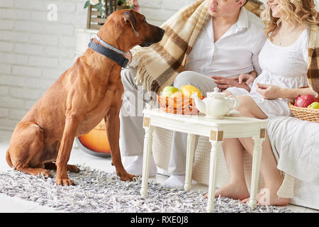 Junges Ehepaar mit ihrem Haustier am Morgen sitzen in einem gemütlichen Wohnzimmer Stockfoto