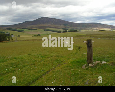 Die Schottischen Berge Corbett Ben Rinnes, Cairngorm National Park, Schottland, Großbritannien. Stockfoto