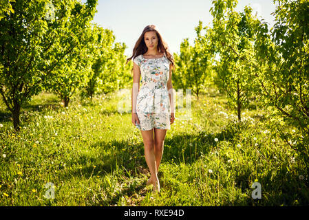 Ein schönes Mädchen in ein luftiges Kleid bei einem Spaziergang zwischen den Obstbäumen. Stockfoto