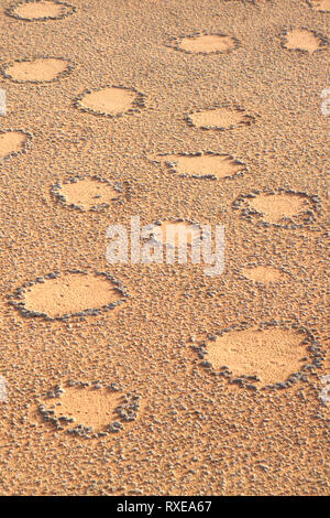 Feenkreisen des Namib Naukluft Stockfoto