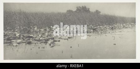 Water-Lilies. Peter Henry Emerson; Englisch, geboren in Kuba, 1856-1936. Datum: 1886. Abmessungen: 12,3 x 28,5 cm (Bild/Papier); 28,6 × 41 cm (album Seite). Platin drucken, PL. VIII aus dem Album 'Leben und Landschaft auf den Norfolk Broads' (1886), Ausgabe von 200. Herkunft: England. Museum: Das Chicago Art Institute. Stockfoto