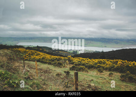 Malerische Aussicht über Region Otago in der Nähe von Dunedin, Südinsel, Neuseeland Stockfoto