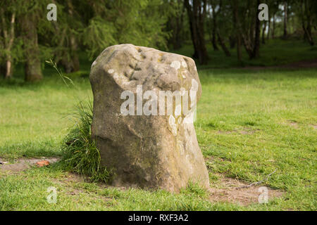 Derbyshire, Großbritannien, 03. Juni 2016: in der Nähe auf einem sarazenen oder Standing Stone von neun Damen Steinkreis, der Bronzezeit Denkmal auf Stanton Moor Stockfoto