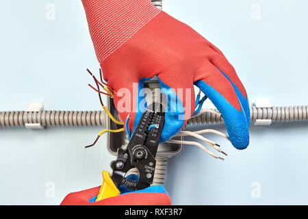 Arbeiter in Schutzhandschuhe wird Schneiden von Kupfer Verdrahtung von elektrischen Anschlussdose mit Hilfe von Abisolierer Cutter. Stockfoto