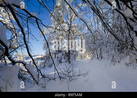 Schöne Panorama im polnischen Gebirge Beskiden genommen auf dem Weg zu Rysianka während der schneereichen Winter. Landschaft während Trekking erfasst. Stockfoto