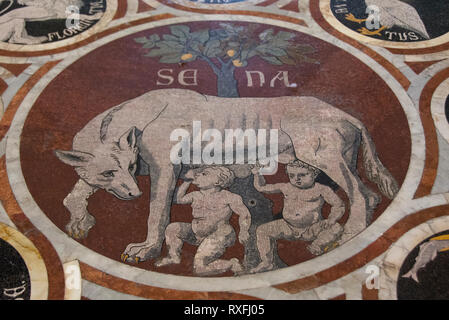 Auf dem Boden der Siena Duomo mit Romulus und seinen Zwillingsbruder Remus gespeist durch die she Wolf, der Dom von Siena, Piazza del Duomo di Siena Mosaik, ist eine mittelalterliche Kirche in Siena, Italien Stockfoto