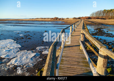 Der Holzsteg über die peffer Brennen in Aberlady Bay Nature Reserve East Lothian Schottland Stockfoto