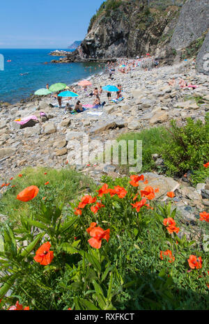 Strand bei Riomaggiore, einem Dorf in der Gemeinde in der Provinz La Spezia, in einem kleinen Tal in der Region Ligurien in Italien Stockfoto