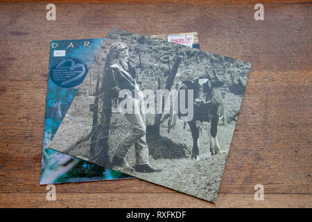 Daryl Hall 1986 solo Album drei Herzen im Happy End Maschine Stockfoto