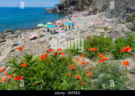 Strand bei Riomaggiore, einem Dorf in der Gemeinde in der Provinz La Spezia, in einem kleinen Tal in der Region Ligurien in Italien Stockfoto