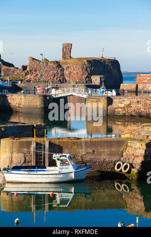 Ein Boot vertäut in Dunbar Dunbar Victoria Hafen mit Schloss im Hintergrund. Dunbar, East Lothian, Schottland Stockfoto