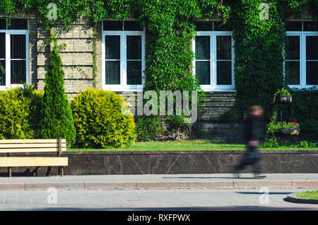 Backstein Fassade eines alten Gebäudes bedeckt mit Efeu. Die Abbildung einer Person zu Fuß verschwommen in Bewegung. Elemente der Verschönerung in der Architektur. Stockfoto