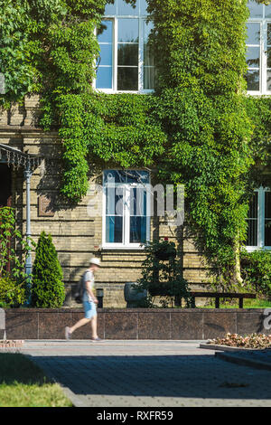Backstein Fassade eines alten Gebäudes bedeckt mit Efeu. Die Abbildung einer Person zu Fuß verschwommen in Bewegung. Elemente der Verschönerung in der Architektur. Stockfoto