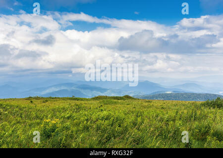 Grasbewachsene Alm in den Bergen. ridge Etwas in der Ferne sichtbar. bewölkter Himmel Stockfoto