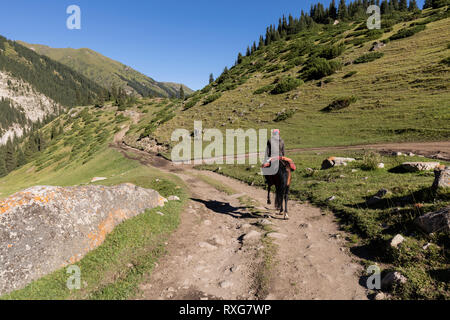 Altyn-Arashan, Kirgisistan, 14. August 2018: ein Reiter reitet einsam auf einem Weg im Tal des Altyn-Arashan in Kirgisistan Stockfoto